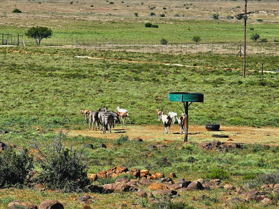 4 Bedroom Property for Sale in Bloemfontein Rural Free State